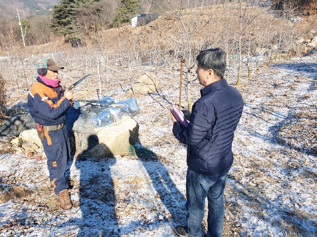 과수영농지도사 현장지도 대표 이미지