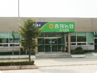 금가지점